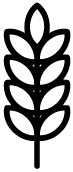 glutine