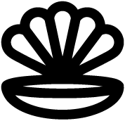 molluschi